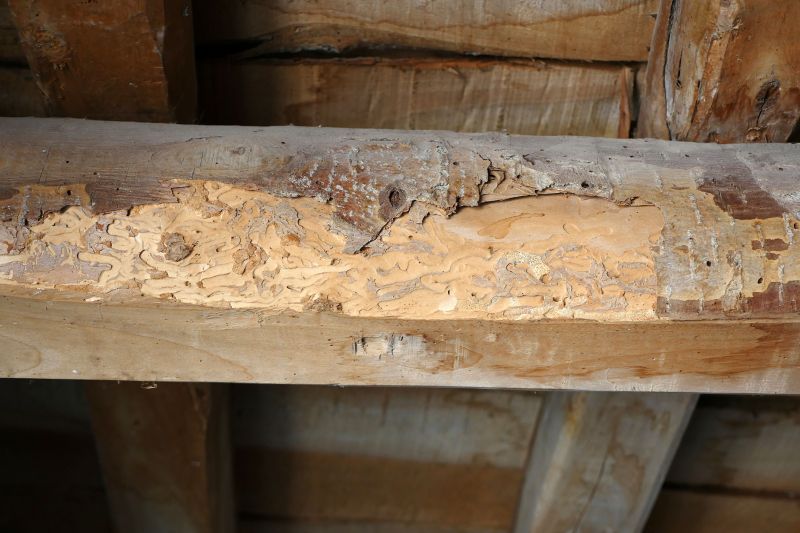 Rot Damage in Beams